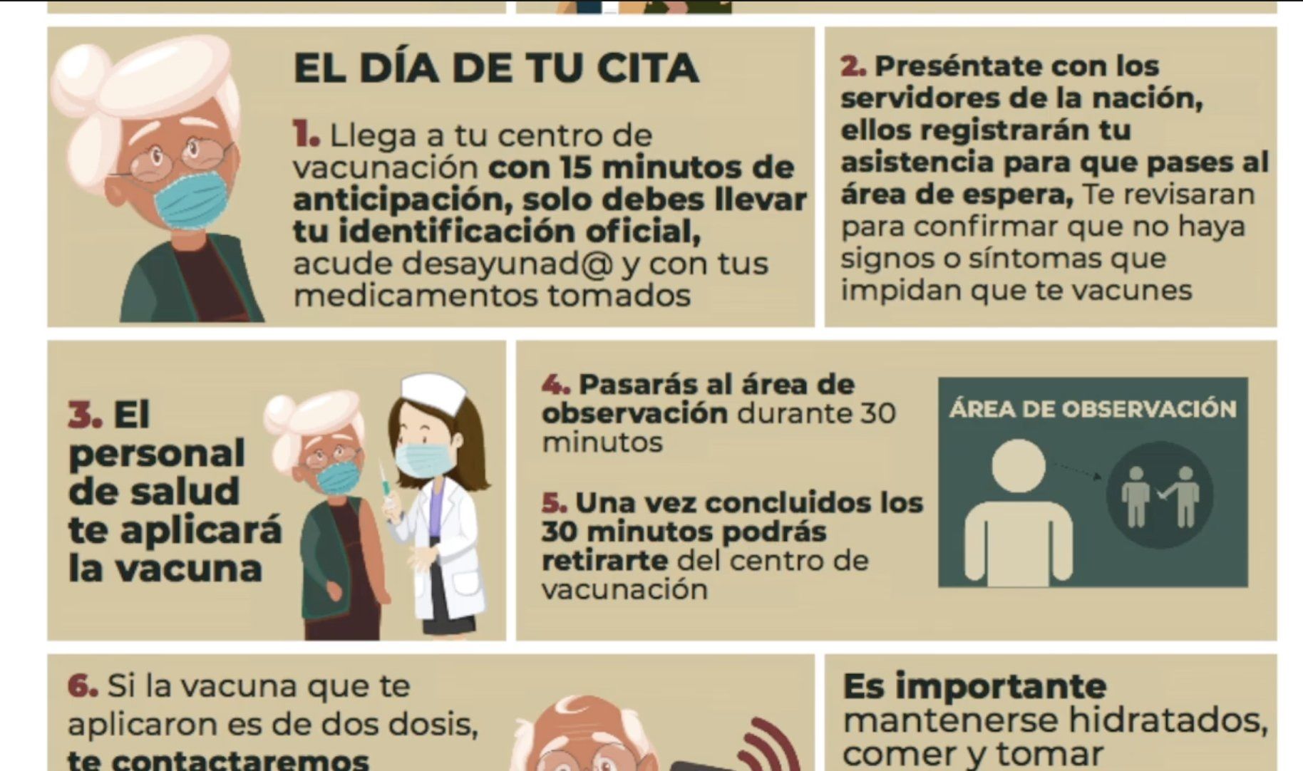 ¿Qué deben hacer los adultos mayores el día de su cita?