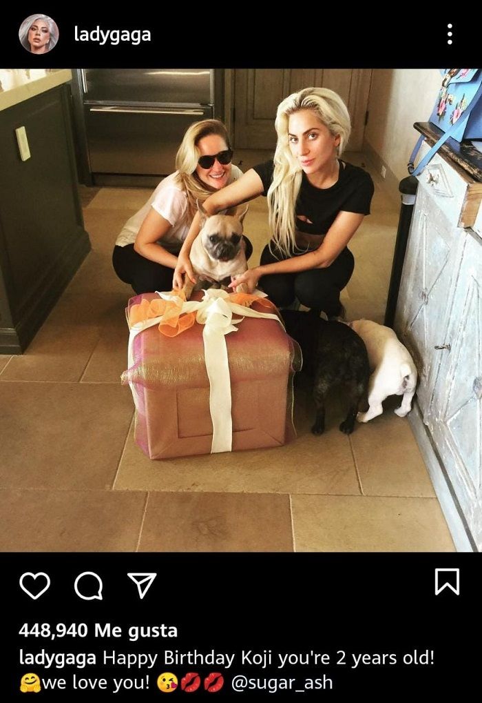 ¿Cuánto valen los perros de Lady Gaga?