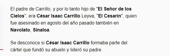 ¿Quién era el nieto de Amado Carrillo que murió en avionazo?