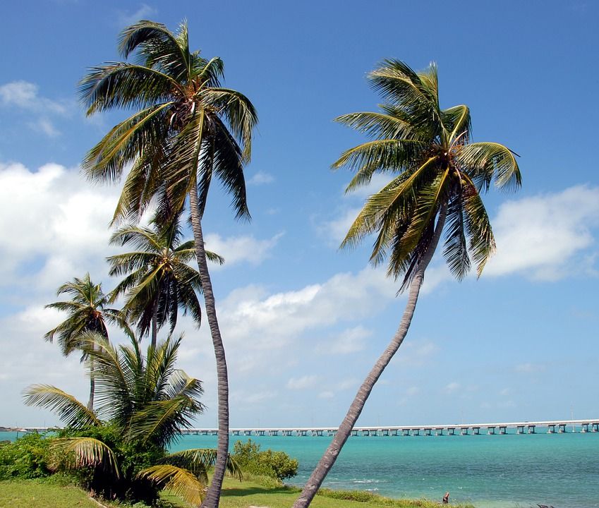 ¿En qué temporada es barato ir a Florida?