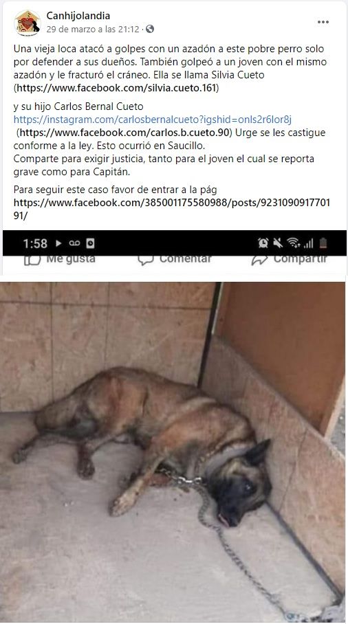 Segundo H2: ¿Quién es #LadyAzadón?
