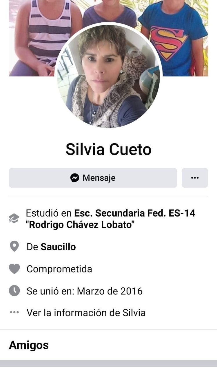 Segundo H2: ¿Quién es #LadyAzadón?