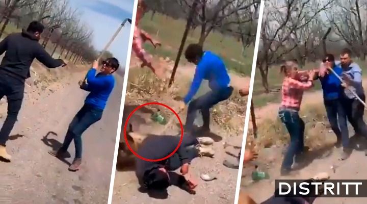 #LadyAzadón, mujer que le fracturó el cráneo a joven y golpeó a perro