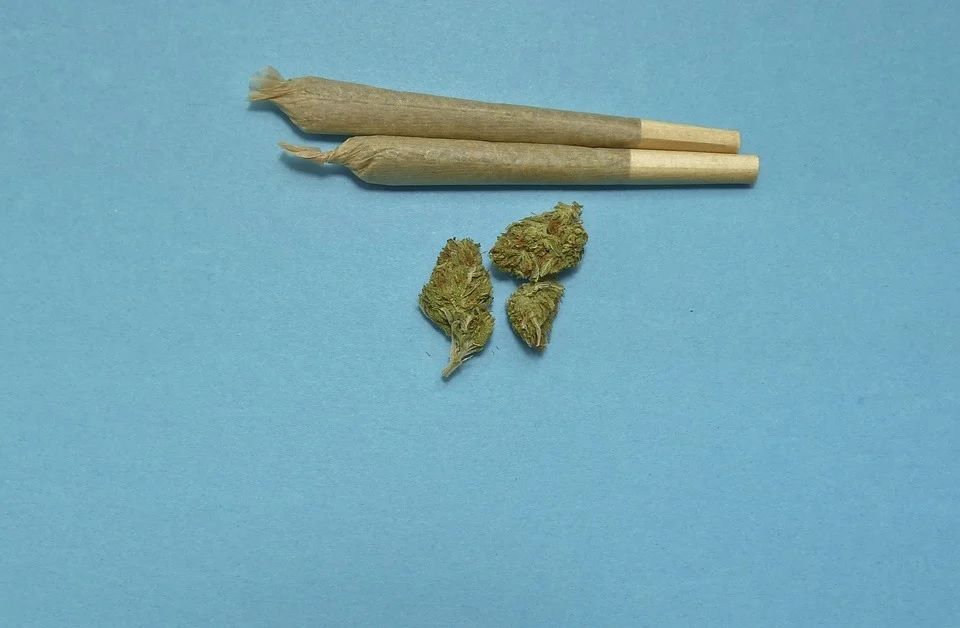 Polémicas sobre la legalización de la marihuana en México