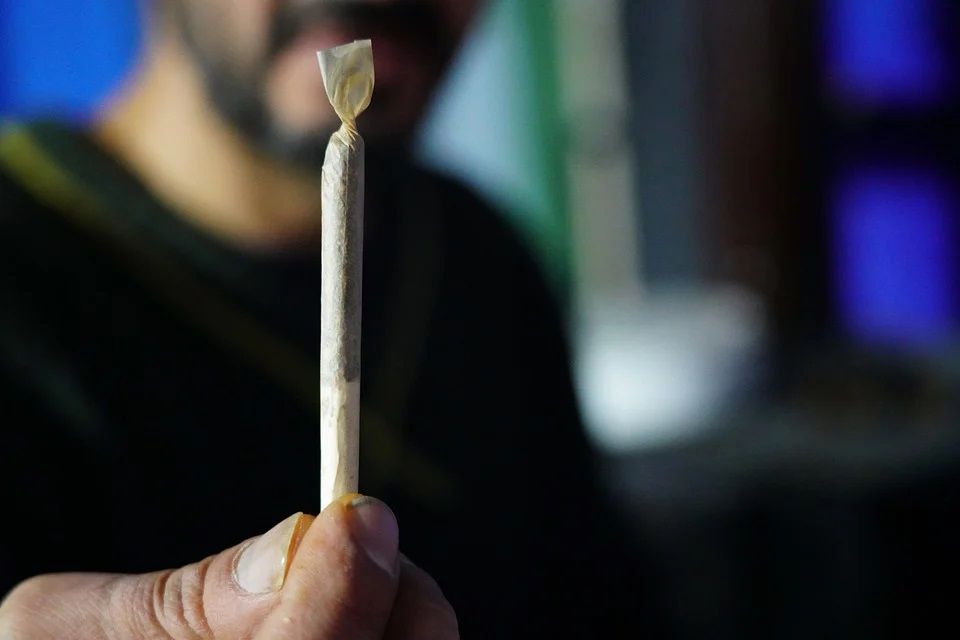 ¿En qué consiste la ley para legalizar la marihuana en México?