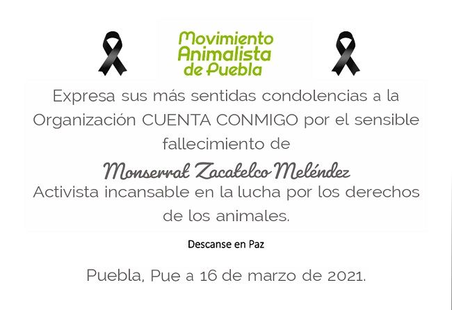 María Monserrat rescataba animales en Puebla