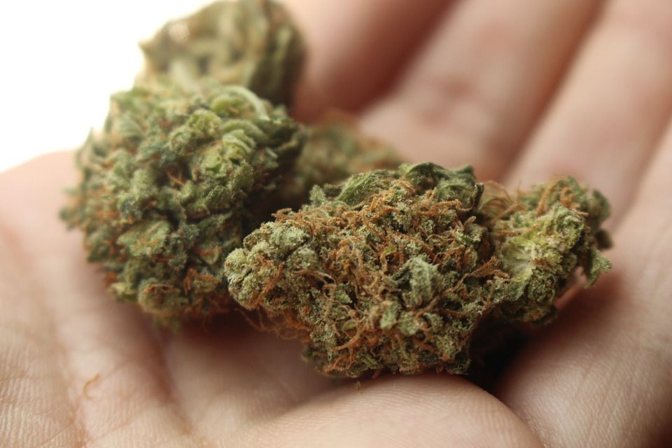 Precio de la marihuana en México