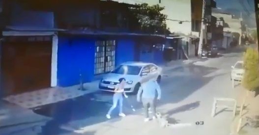 Perrito salva a mujer de asalto en Tlalpan