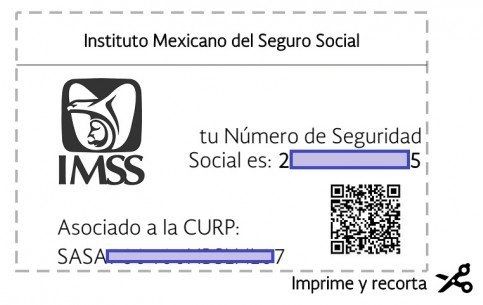 ¿Para qué sirve el Número de Seguro Social?