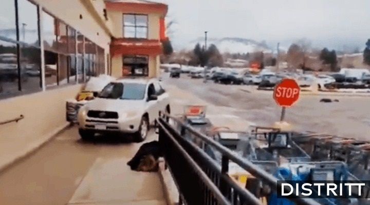 Tiroteo en Colorado. Así fue el ataque en supermercado de EU