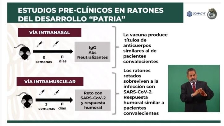 Avances en el desarrollo de la vacuna Patria