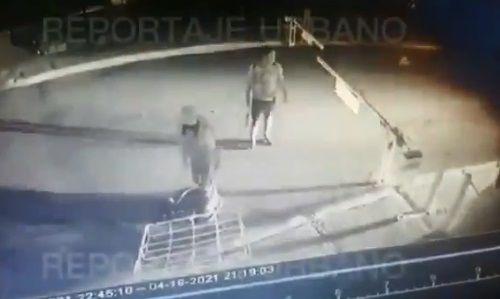 Edomex. Hombres acuchillan a perro durante riña en Zumpango