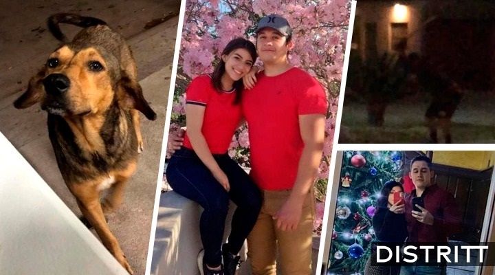 Exigen justicia para Rodolfo, perrito asesinado a hachazos