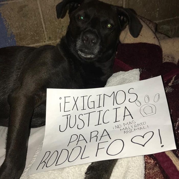 Marchan para exigir justicia para Rodolfo