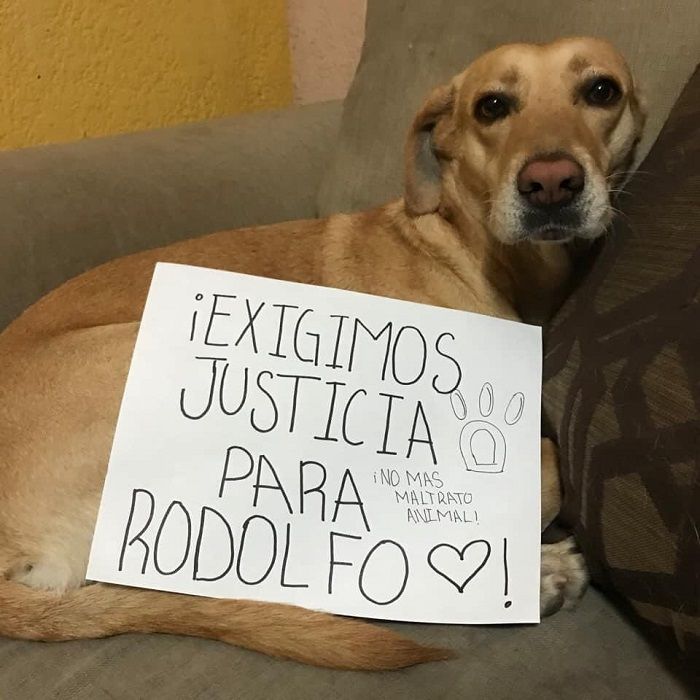 Marchan para exigir justicia para Rodolfo