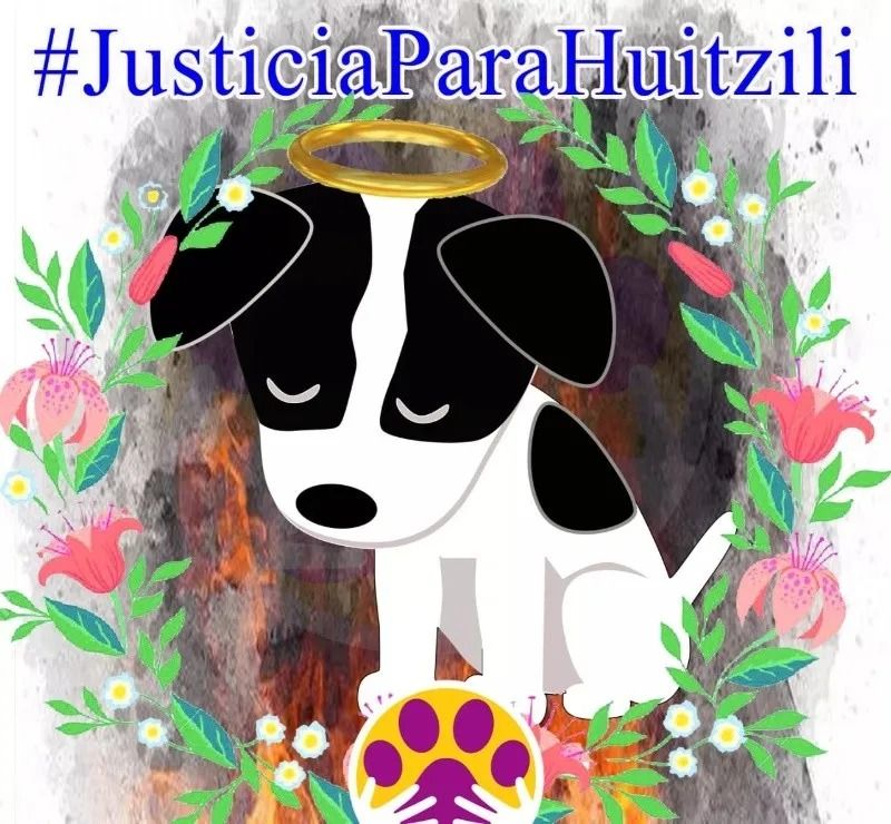 Exigen #JusticiaParaHuitzilli