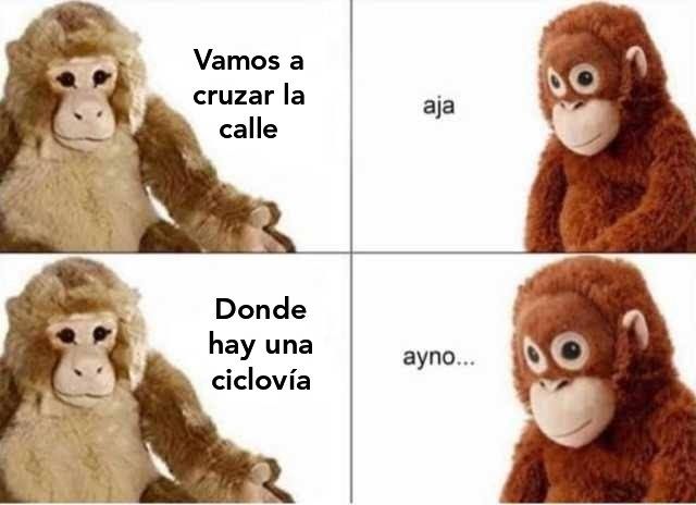 Los mejores memes de la ciclovía Puebla