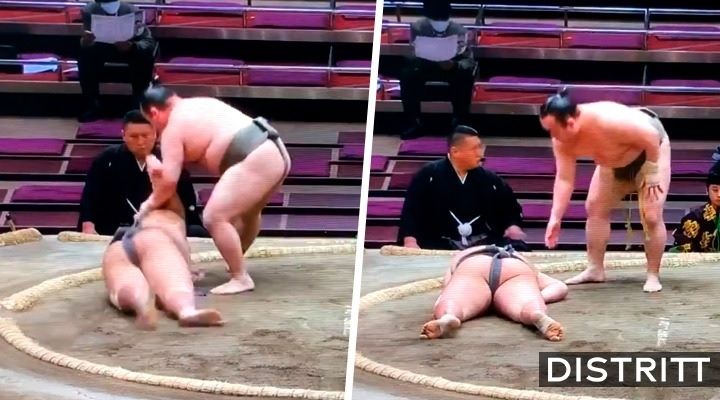 Muere luchador de sumo tras recibir golpe en la cabeza