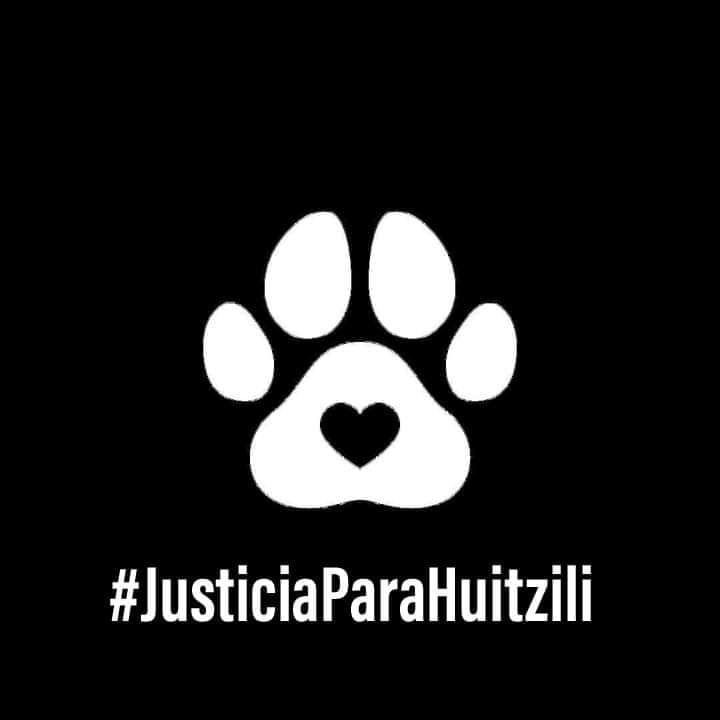 Exigen #JusticiaParaHuitzilli