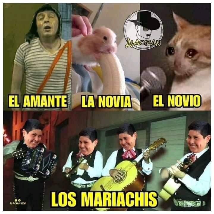 Los mejores memes de serenata a novia infiel