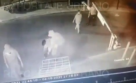 Edomex. Hombres acuchillan a perro durante riña en Zumpango