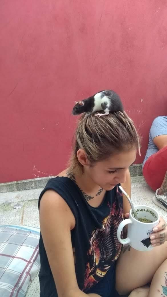 Lara Arreguiz. Joven muere de COVID esperando una cama