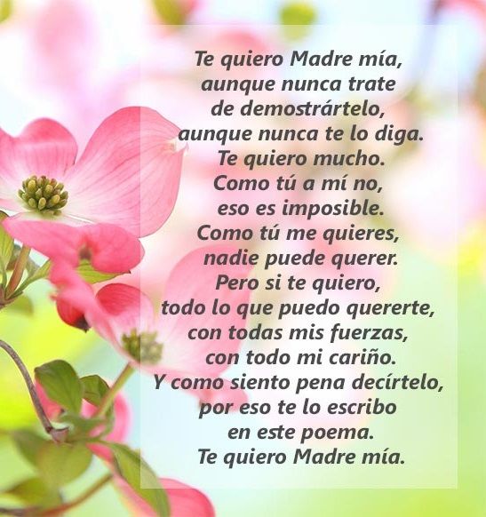 Mejores imágenes para dedicar a mamá