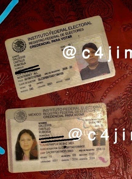 ¿Quién es Rubicela Gallegos?