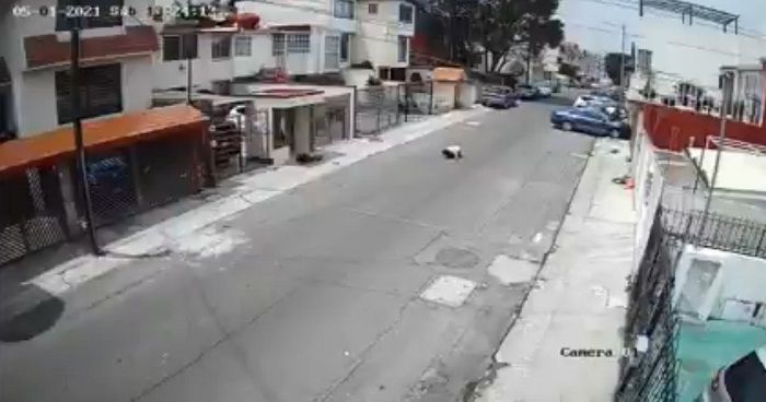 Lanza a su novia desde auto en Lomas Verdes