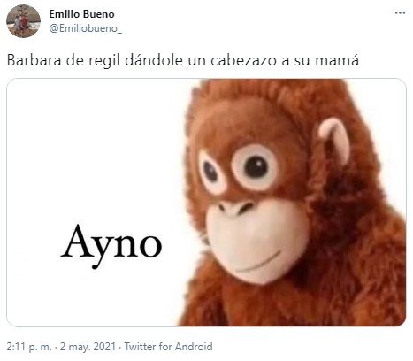 Los mejores memes del cabezazo de Bárbara de Regil a su mamá