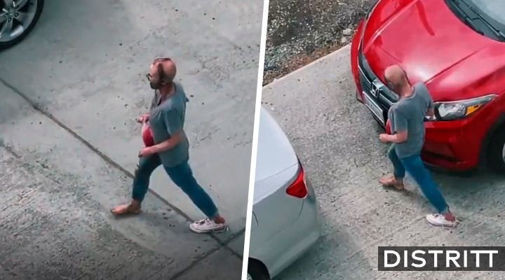 ¿Qué se sabe sobre la mujer de Seattle que se hizo viral en TikTok?
