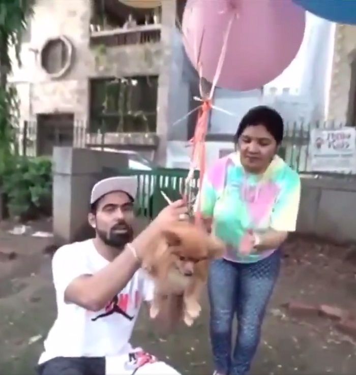 YouTuber hace volar a su perro con globos de helio