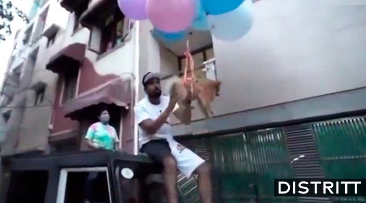 YouTuber hace volar a su perro con globos y lo detienen