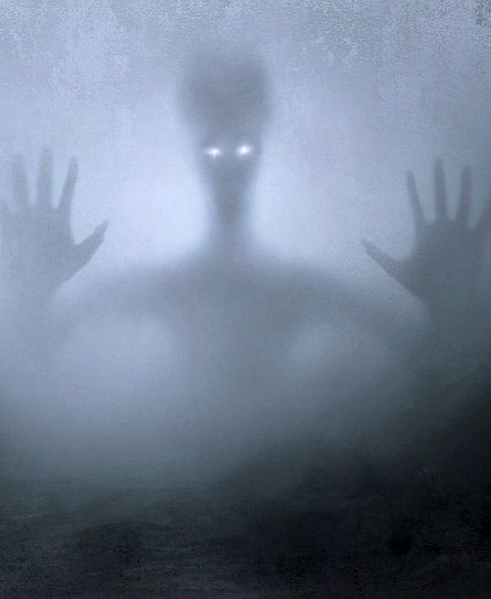 Captan a supuesto alienígena caminando en India