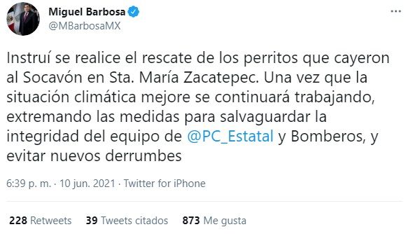 Rescatan a perros atrapados en socavón de Puebla |VIDEO 