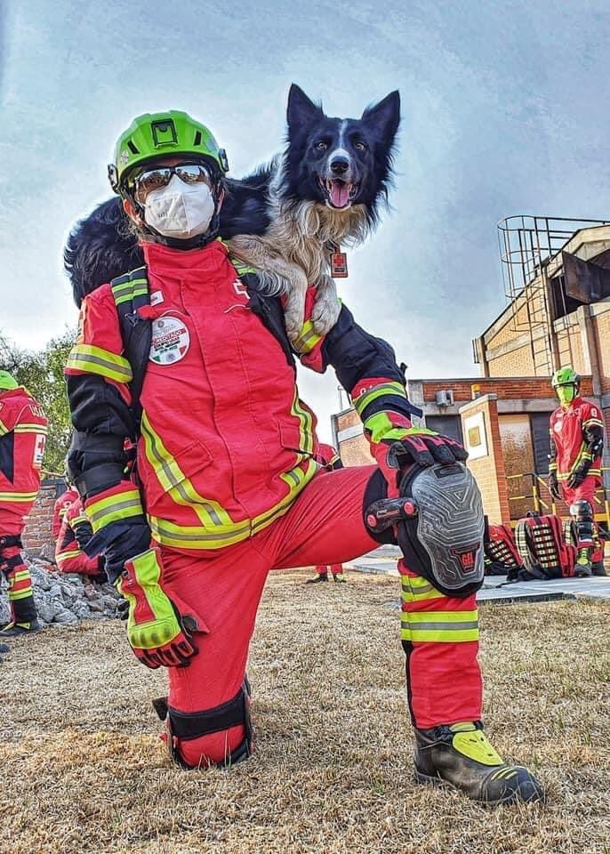 Athos y Tango. Envenenan a perritos rescatistas del 19S