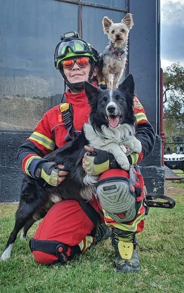 Athos y Tango. Envenenan a perritos rescatistas del 19S