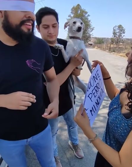 Video. Mujer se venga de su novio por abandonar a su perrita