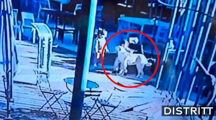 Papá mata a perro de una patada para salvar a su hijo