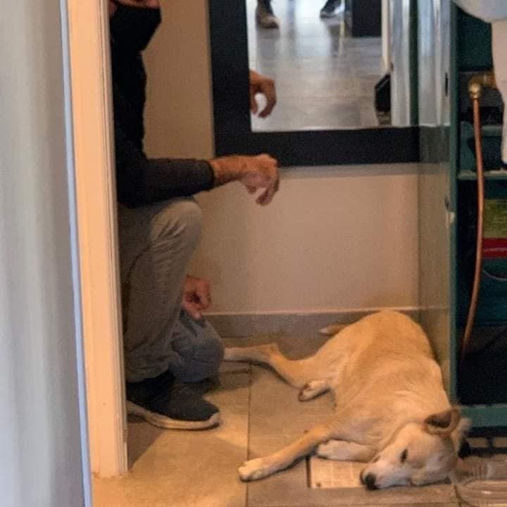 Hombre afirma que solo le salvó la vida a su hijo