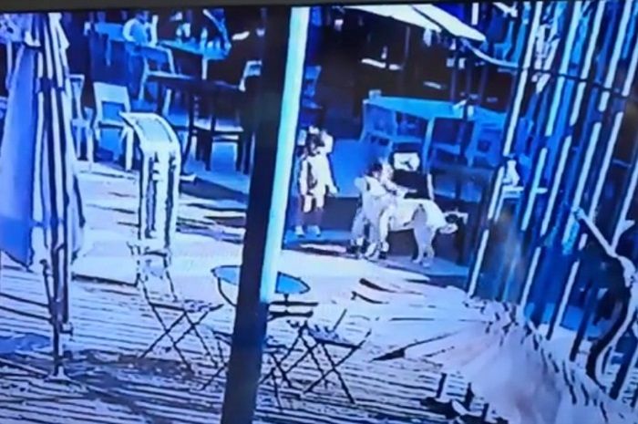 Hombre mata a perrito de una patada
