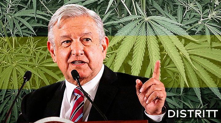 ¿Qué opina AMLO sobre la despenalización del uso lúdico de la marihuana?