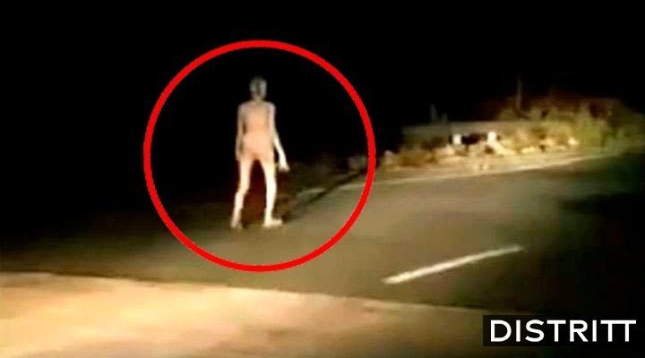 Captan a supuesto alienígena caminando en carretera