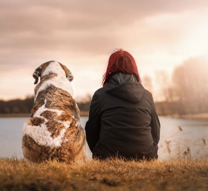 Requisitos para adoptar perros en Puebla