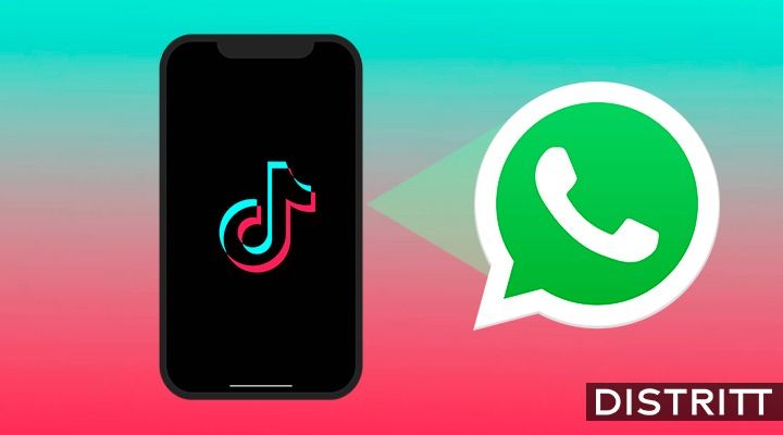 whatsapp-como-compartir-un-video-tiktok-estados