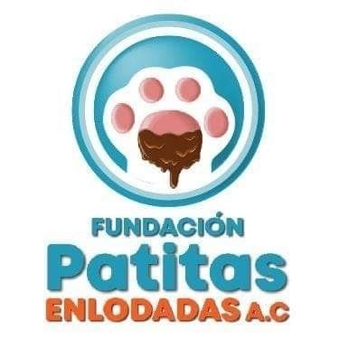 Adopción de perros en Puebla