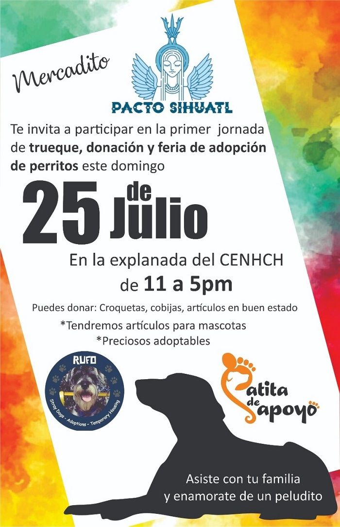 Adopción de perros en Puebla