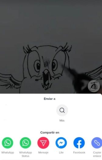 ¿Cómo poner un video de TikTok en los estados de WhatsApp?