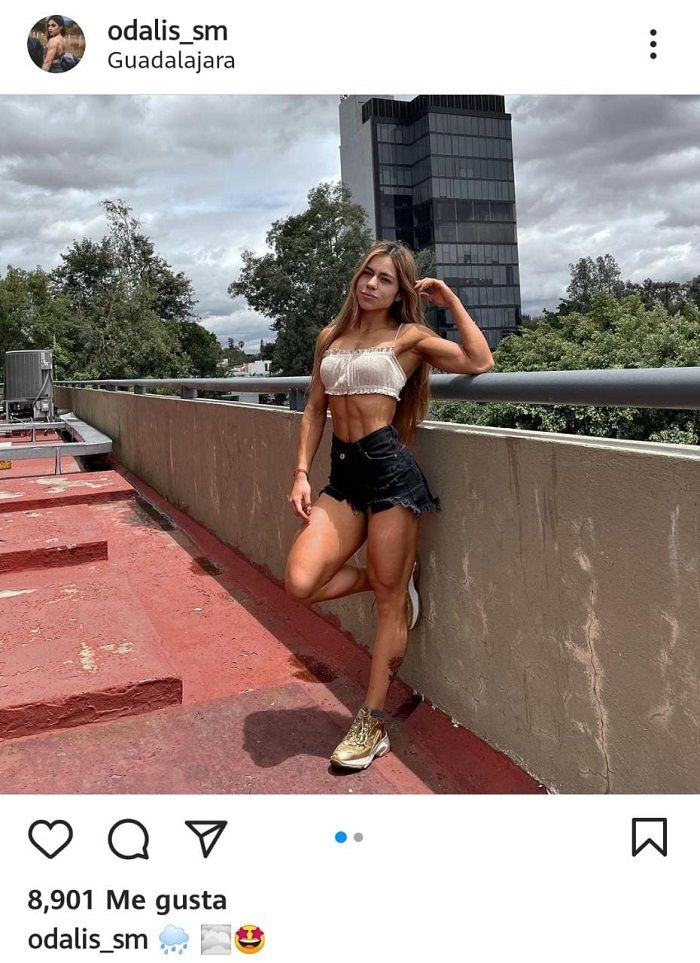 ¿Quién era Odalis Santos?