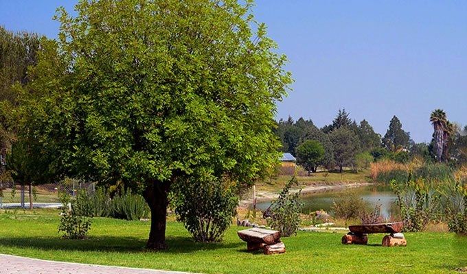 Los parques más bonitos de Puebla